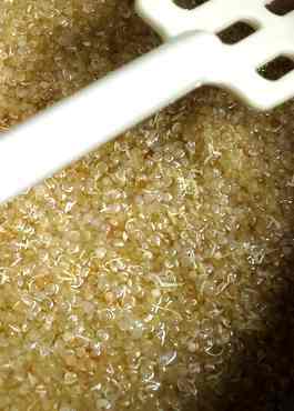 Quinoa - das gesunde Pseudogetreide