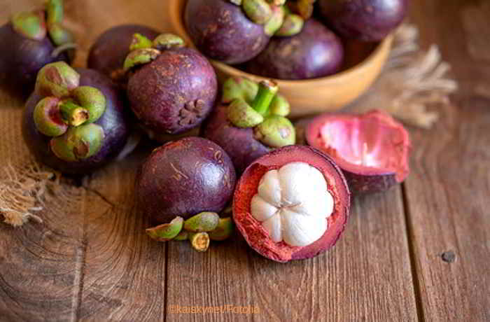 Das Superfood Mangostan - eine gesunde, tropische Heilpflanze